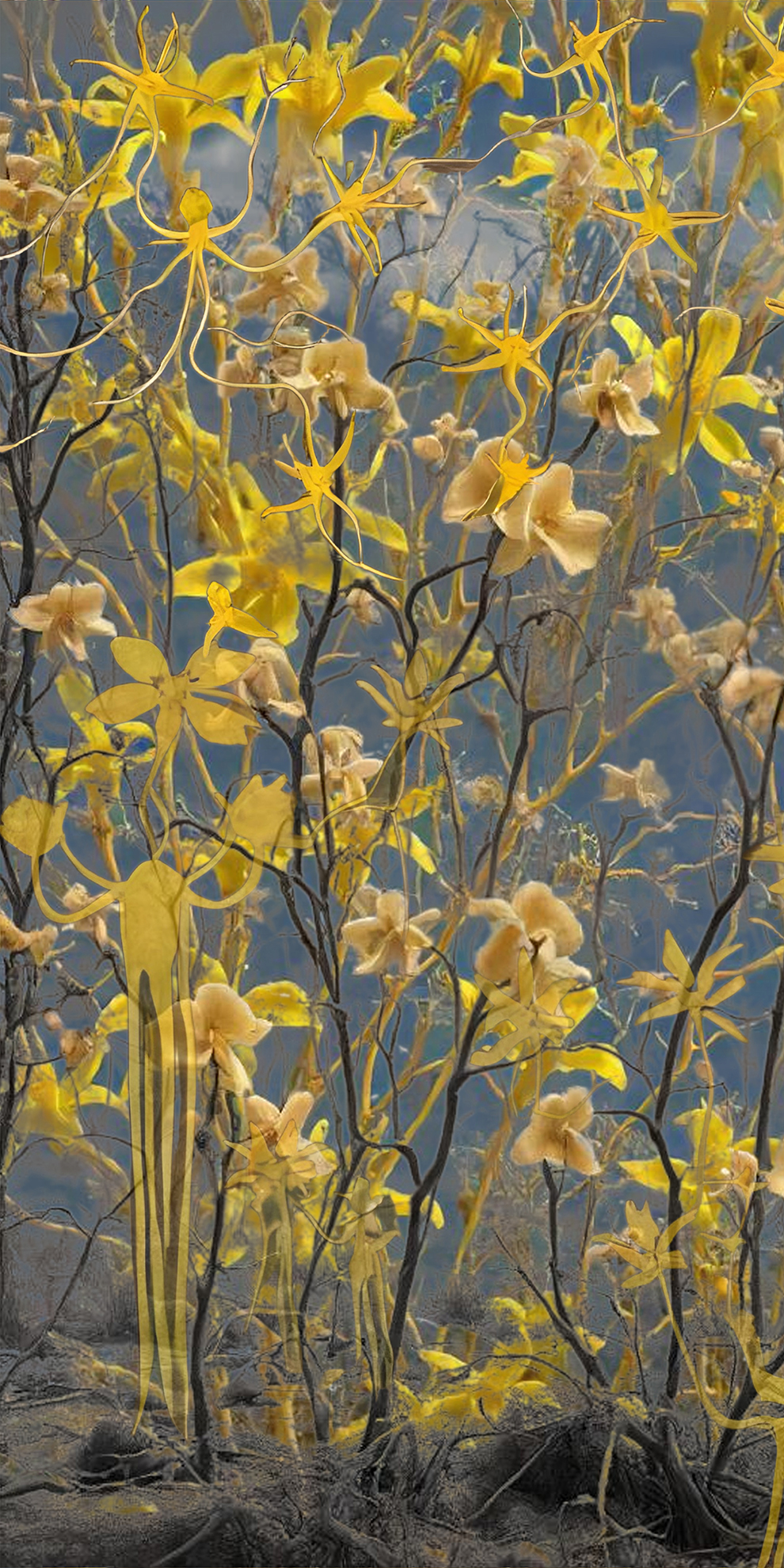 Each Trailing A Dreamworld banner by Gretta Louw